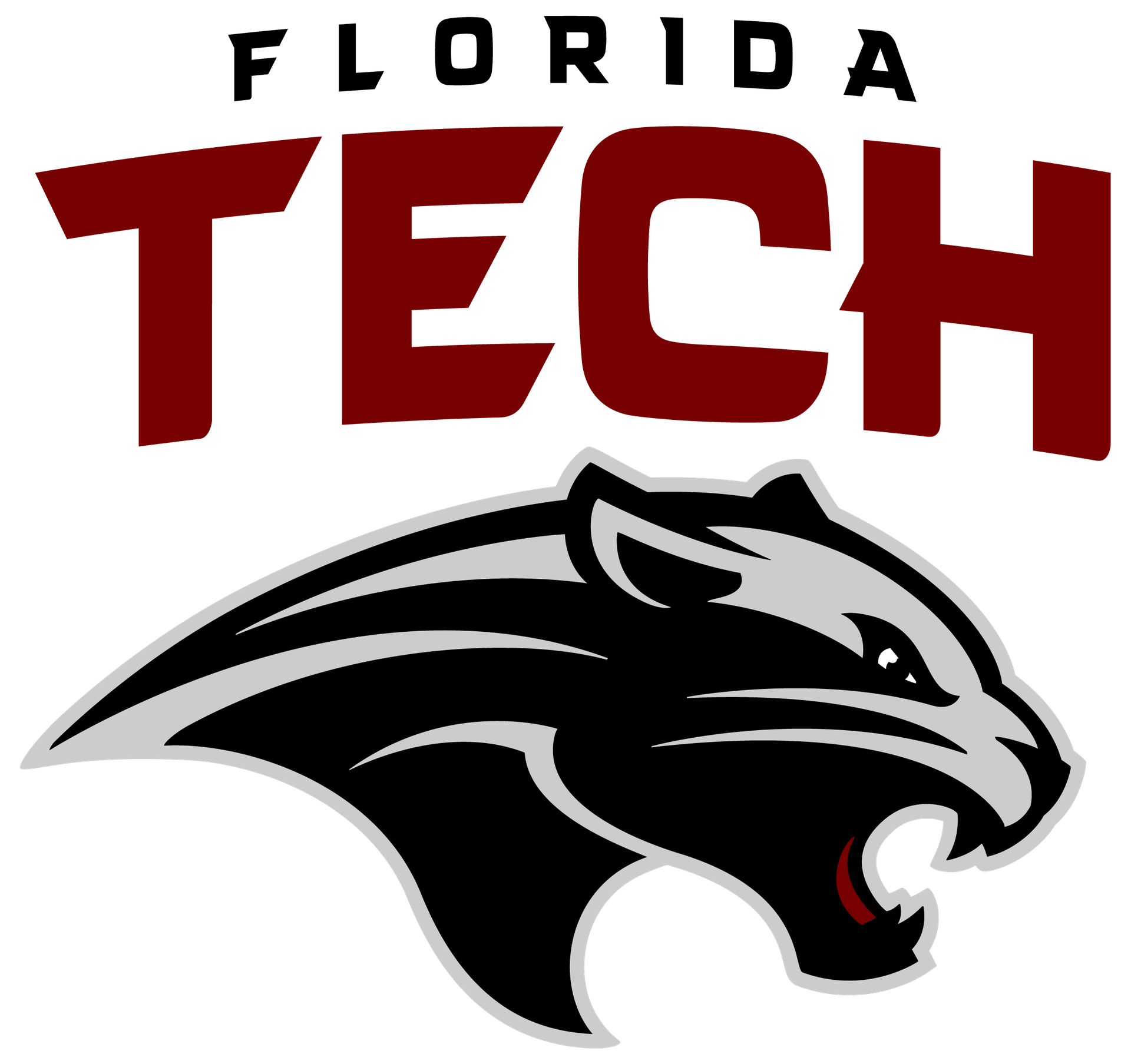 Team 1 Logo